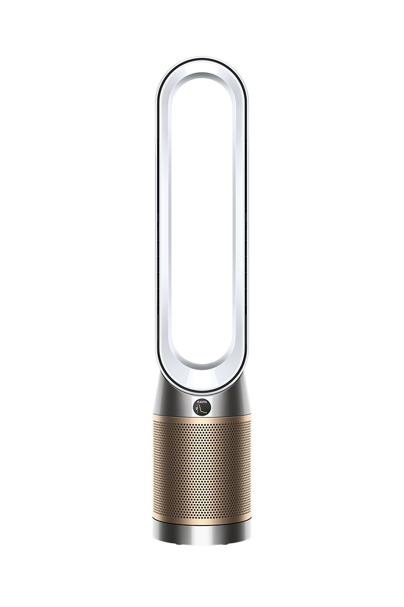 Dyson Purifier Cool De-NOx PC2